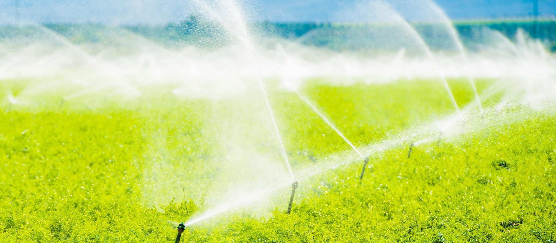EL AGUA ES NUESTRA PASIÓN